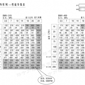 BMV大方系列馬達(dá)