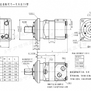 BMV大方系列馬達(dá)