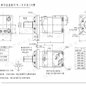 BMV大方系列馬達(dá)