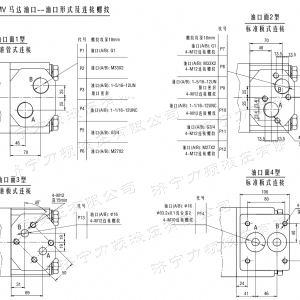 BMV無軸承系列馬達(dá)