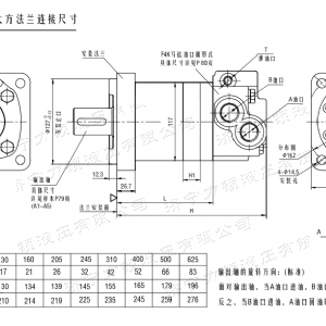 F4K標準大方馬達